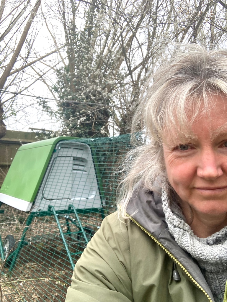 nevesbees's tweet photo. A new edition to the Neve's Bees menagerie coming soon - 4 x Burford Brown and Snowbar hens which lay dark brown and blue eggs respectively :) 
Looking forward to collecting them in a few weeks
#backyardhens #eglu #omlet @omlet_uk #omletpets https://t.co/xxV8HzXB2y