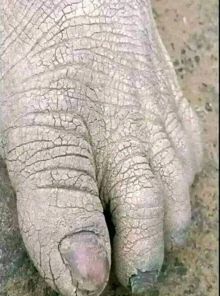 Nioshe miguu kwani mimi ni Yesu😂