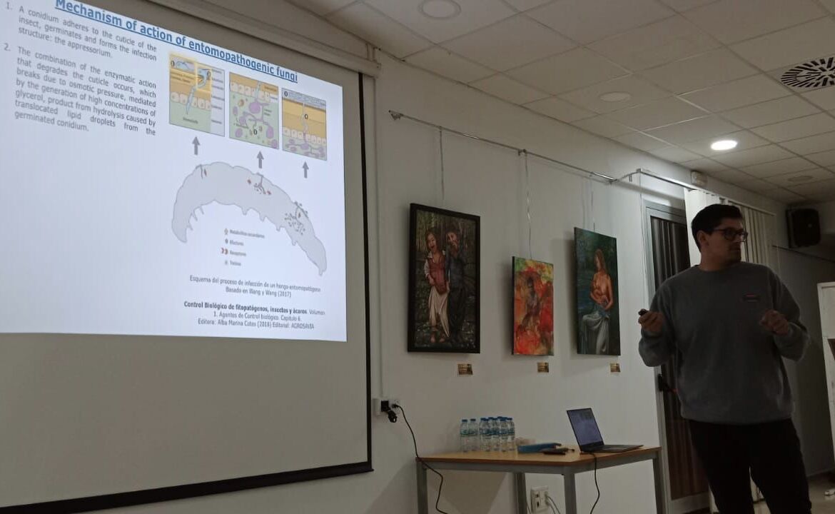 MJP_Lab's tweet photo. ¡Enhorabuena José por tu estancia en España con nosotros! Queremos agradecerte tu arduo trabajo y dedicación en este proyecto. ¡Te deseamos lo mejor en tu futuro académico y profesional, y esperamos volver a verte pronto! @ucscconcepcion https://t.co/PxsEBJ57gs https://t.co/MAzjXVYLNL