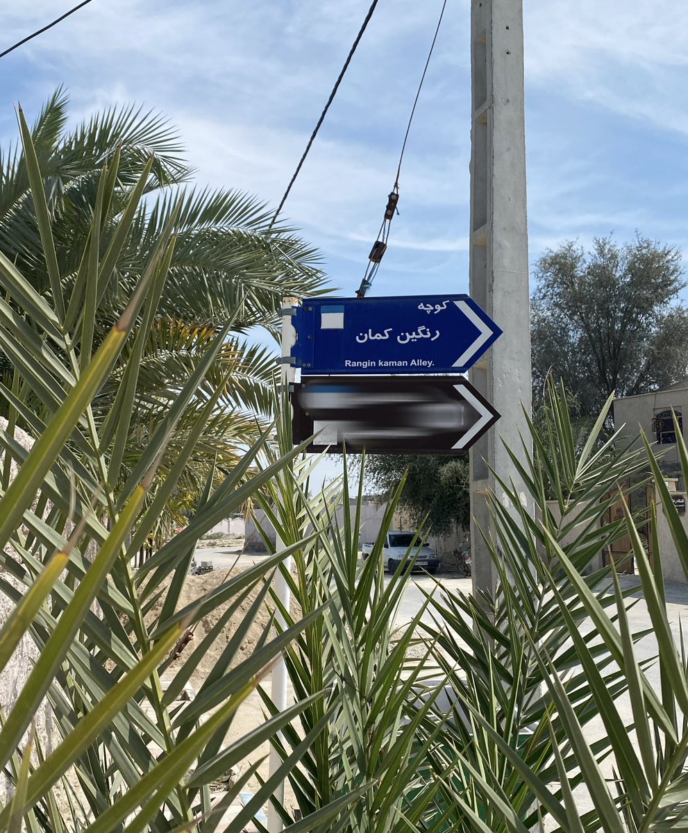 دمپایی خشک tweet media