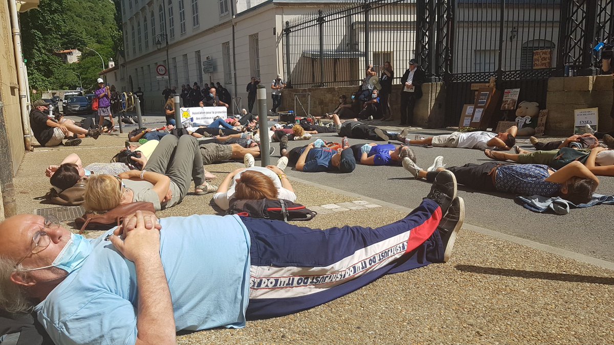 LivoSons's tweet photo. Comme tous les vendredis, n'oublie pas ton rendez vous:
14h #RadioCanut Allongé·e·s, yeux fermés, tu écoutes la #MicroSieste, musiques douces et rêves textuels, c'est ta pause syndicale entre deux manif' https://t.co/5arp2wzacc