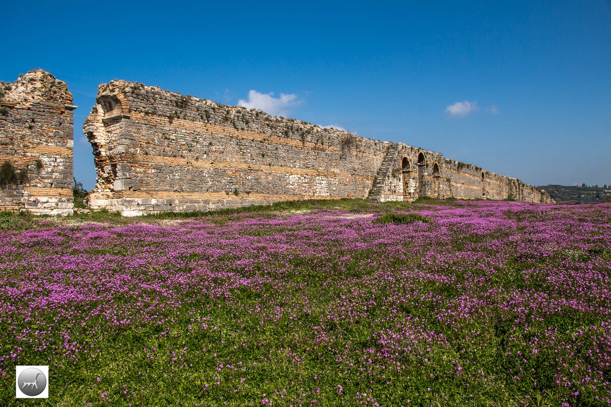 ToAuthentiko's tweet image. Αναζητώντας τα μεγάλα "brands" της Ελλάδας. 

Στα χνάρια της αρχαίας Νικόπολης (Πρέβεζα). 

Ο θησαυρός της Ηπείρου που μας καλεί να τον ανακαλύψουμε και όπως συνήθως να τον αναλύσουμε!!!