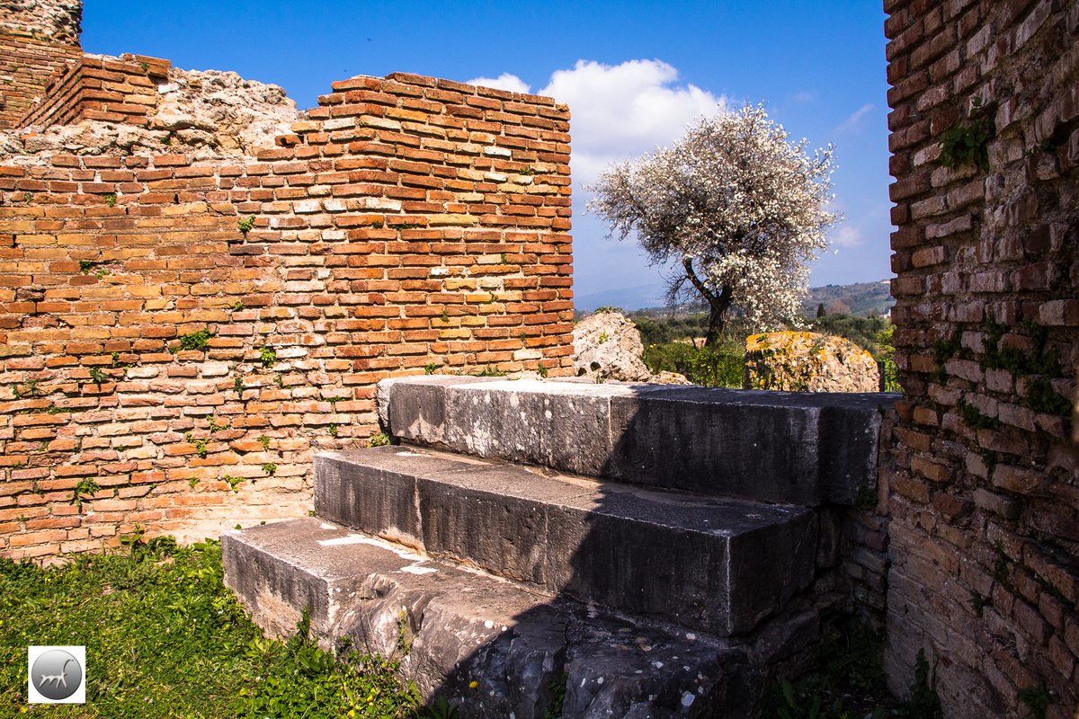 ToAuthentiko's tweet image. Αναζητώντας τα μεγάλα "brands" της Ελλάδας. 

Στα χνάρια της αρχαίας Νικόπολης (Πρέβεζα). 

Ο θησαυρός της Ηπείρου που μας καλεί να τον ανακαλύψουμε και όπως συνήθως να τον αναλύσουμε!!!