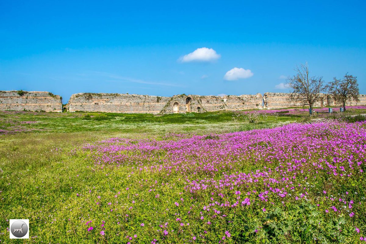 ToAuthentiko's tweet image. Αναζητώντας τα μεγάλα "brands" της Ελλάδας. 

Στα χνάρια της αρχαίας Νικόπολης (Πρέβεζα). 

Ο θησαυρός της Ηπείρου που μας καλεί να τον ανακαλύψουμε και όπως συνήθως να τον αναλύσουμε!!!