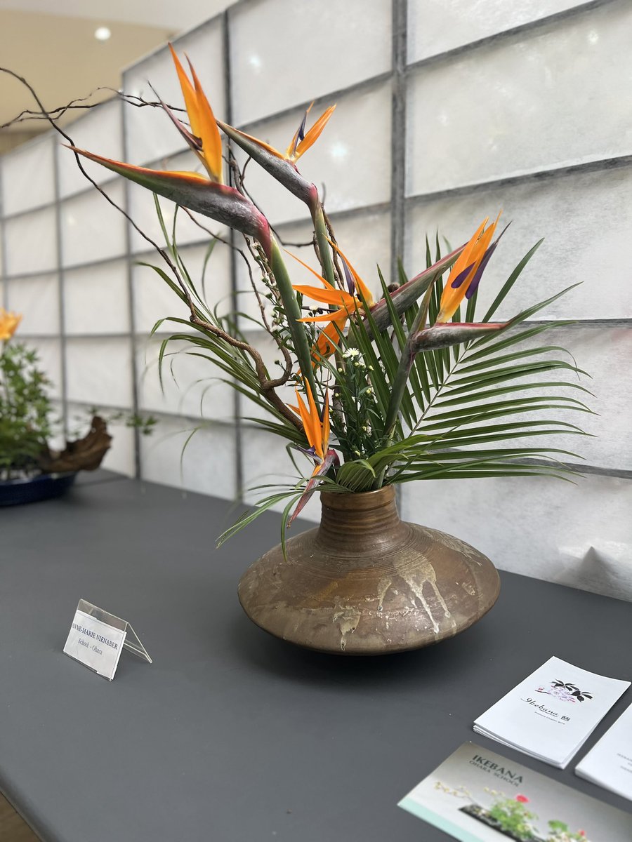 Brooklyn_Mall's tweet photo. It’s Day 1 of the annual Japan Cultural Expo at Brooklyn Mall. 

Join Brooklyn Mall and the Embassy of Japan for three fun-filled days of demonstrations, talks, exhibits, Japanese films and more.
🇯🇵 

#BrooklynMall #JapanCulturalExpo #Japan #JapanTravel #ThingsToDoInPretoria https://t.co/kbRYcz3mDB