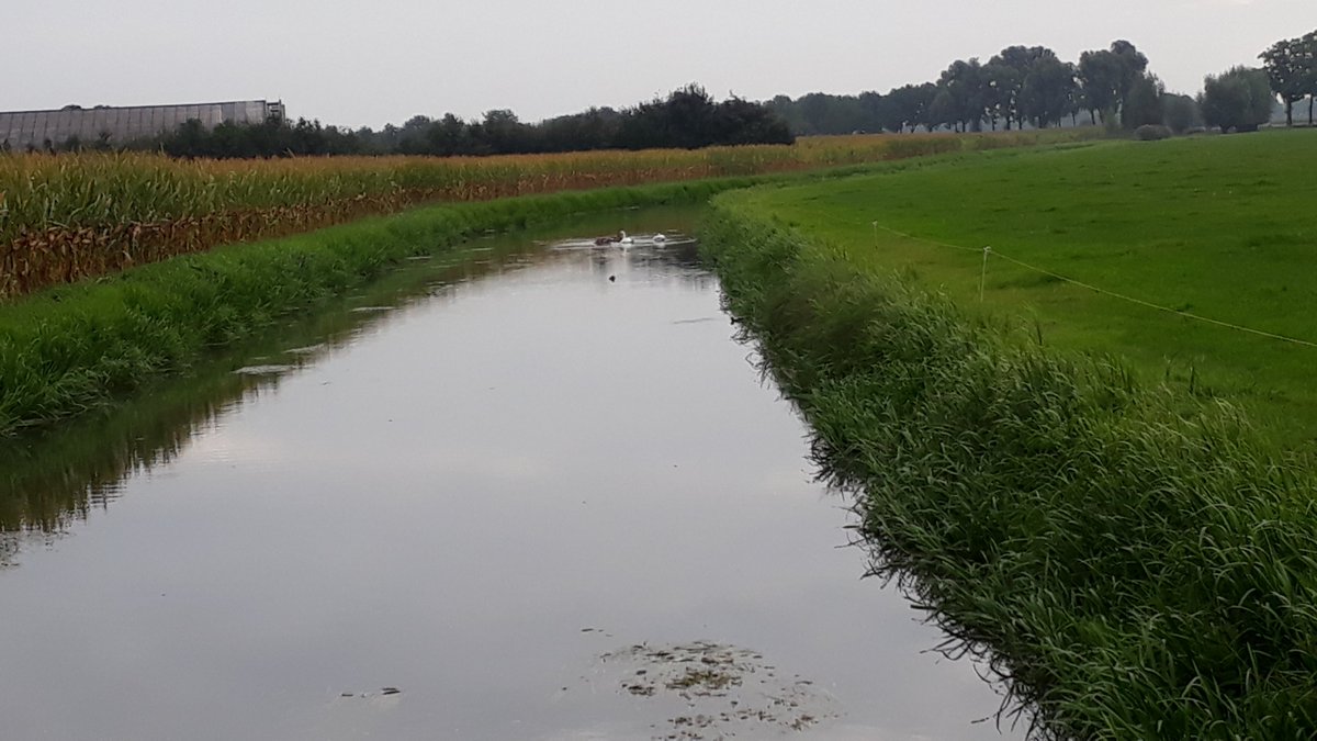 francienbergma1's tweet photo. #terugvolgvrijdag , ik doe er vandaag aan mee https://t.co/zUwm3tC7uO