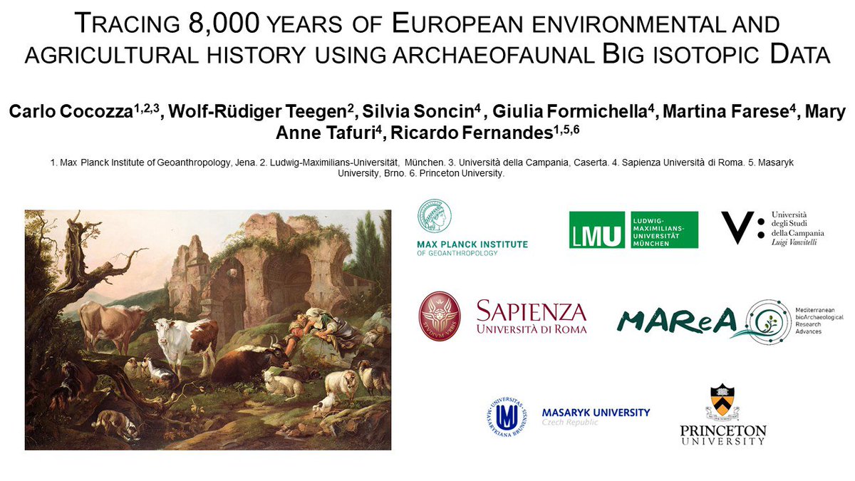 Carlo Cocozza tweet media