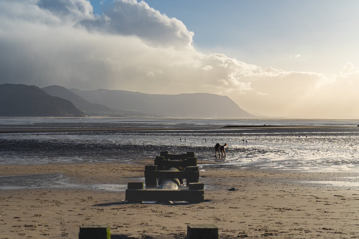 Anthony Johnson tweet media