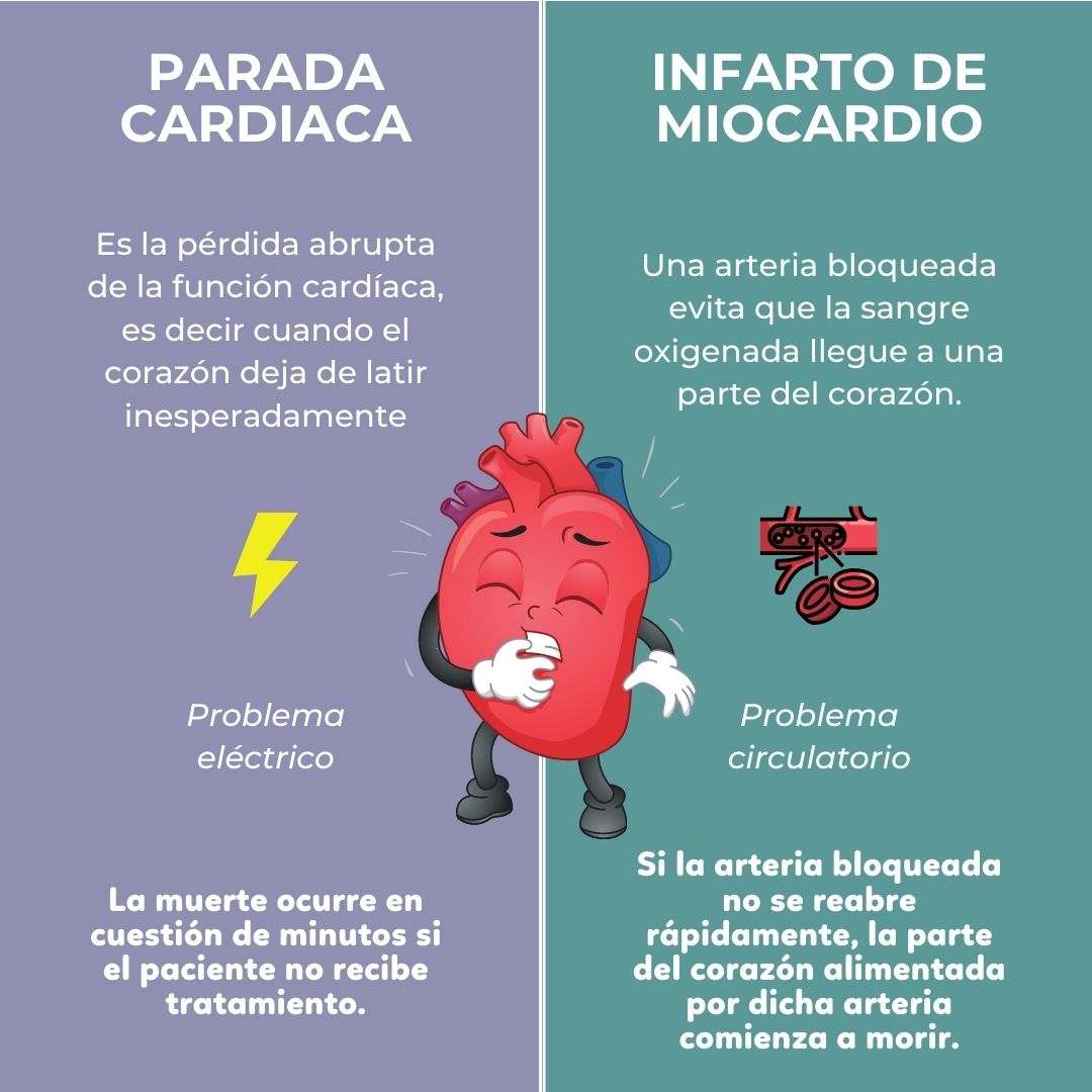 ProyeSalvavidas's tweet photo. En ocasiones, confundimos el concepto #paradacardiaca con #infartodemiocardio ... pero no son lo mismo. Échale un vistazo a la imagen ... te lo explicamos 😀 👆👇👆👇 https://t.co/2xK4GRQTDP