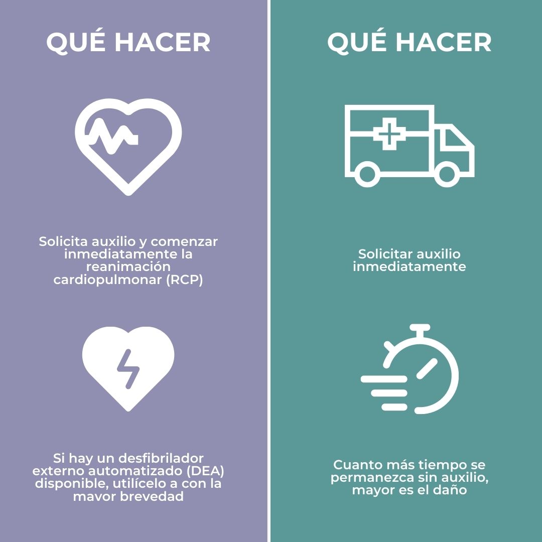 ProyeSalvavidas's tweet photo. En ocasiones, confundimos el concepto #paradacardiaca con #infartodemiocardio ... pero no son lo mismo. Échale un vistazo a la imagen ... te lo explicamos 😀 👆👇👆👇 https://t.co/2xK4GRQTDP