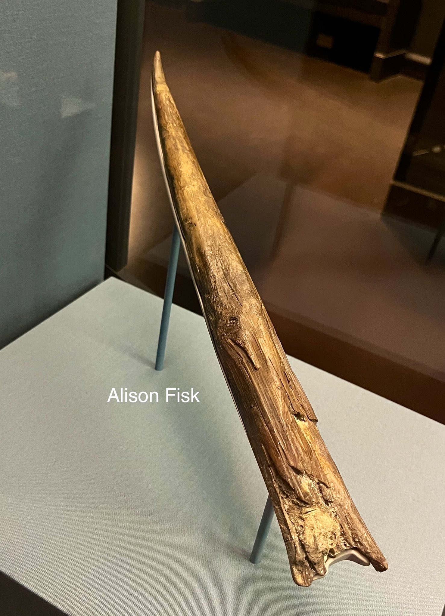 Alison Fisk on X: "For #FindsFriday, the world's oldest preserved wooden spear at c. 420,000 years old! 🤯 Found at Clacton-on-Sea, Essex, in 1911. The Clacton Spear is the earliest known worked