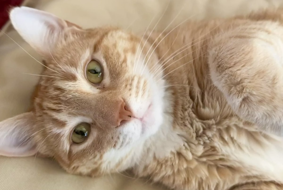 Aw you’re doing such a good job