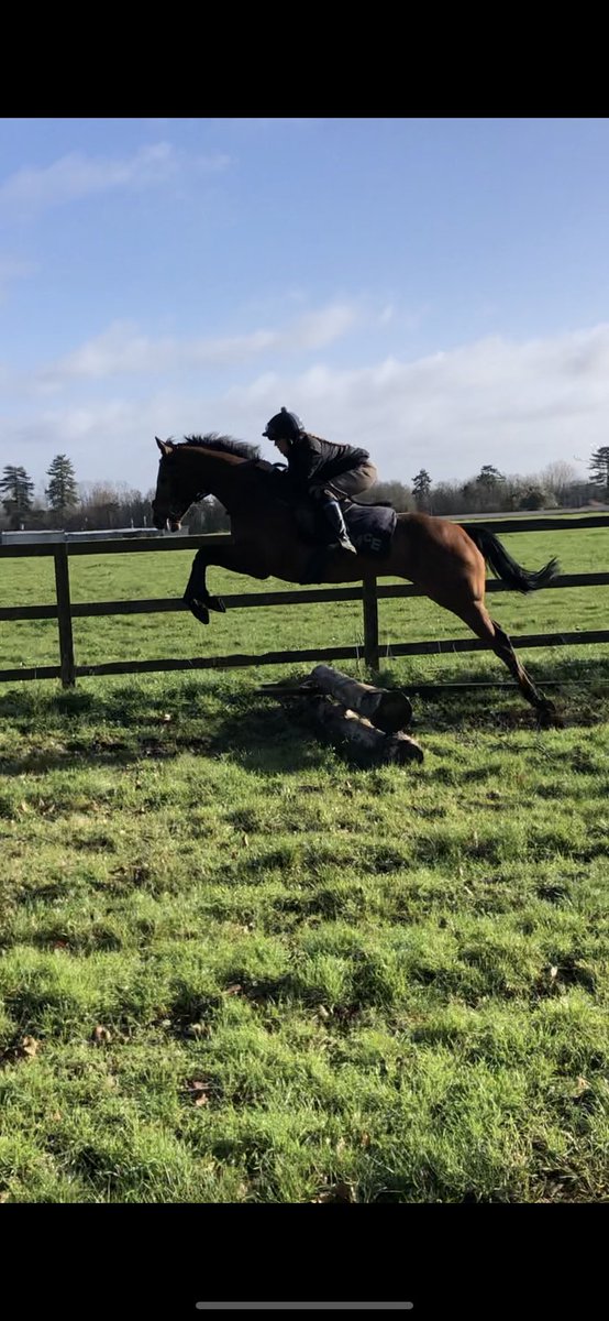 philmcentee1's tweet image. PORFIN runs tomorrow @LingfieldPark @presland_molly rides ,he’s just lost his way a little so here they are this morning doing something different ! As ever the pro POSSUM absolutely loved it ❤️ #happyhorses #mentallyfit