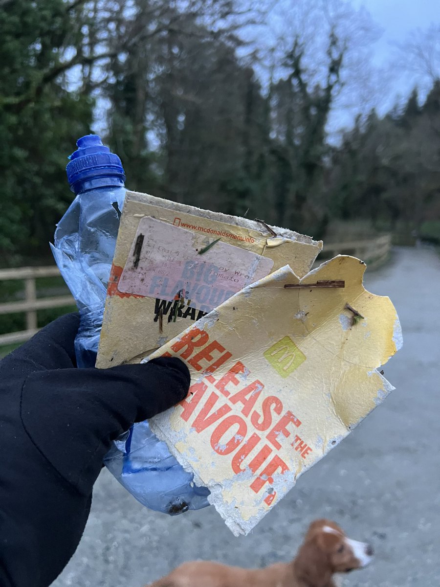 3POPIOM's tweet photo. Litter picking at our @plastic_busters #adoptaplace Port Soderick glen and beach this morning #3pop @BiosphereIOM @pawsonplastic https://t.co/bf55WAKpPB