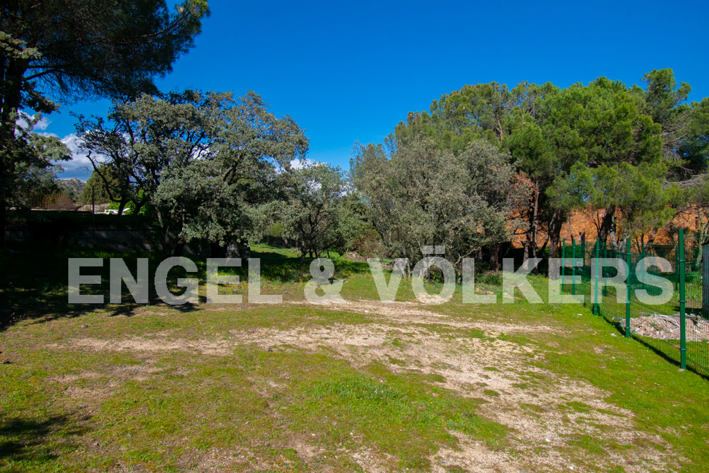 Magníficas parcelas de 1.642 m2 y 1.056 m2 en la urbanización Los Peñascales, situada en la parte mas cercana al pueblo (excelente ubicación). Valladas en piedra y con puerta de acceso, cuentan con todos los servicios. Más info +34.91.859.43.85