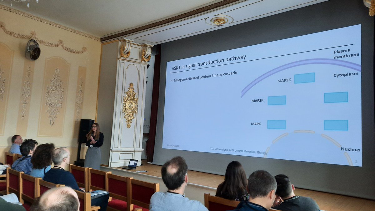 structbio_cssb's tweet photo. Karolina Honzejkova (@science_charles) on protein kinase #XIXDiscussions https://t.co/c94t4A6tk6