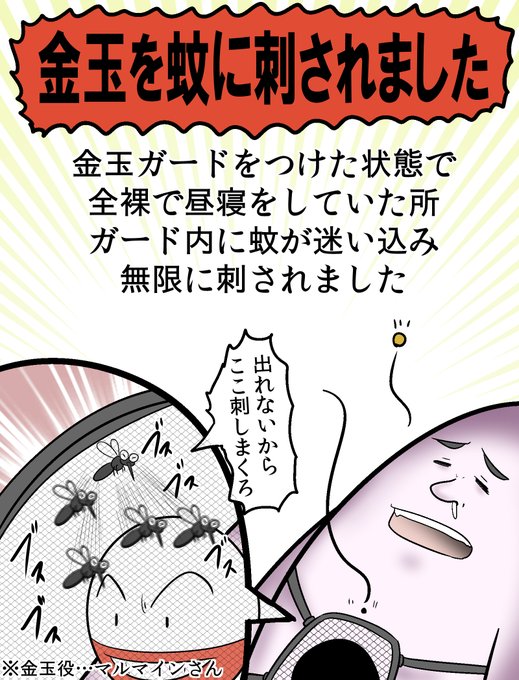 【報告】金玉を蚊に刺されてしまいました 