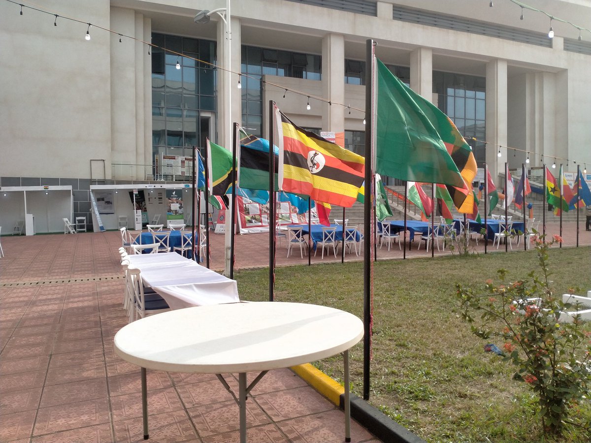 Grace B. Lubega tweet media