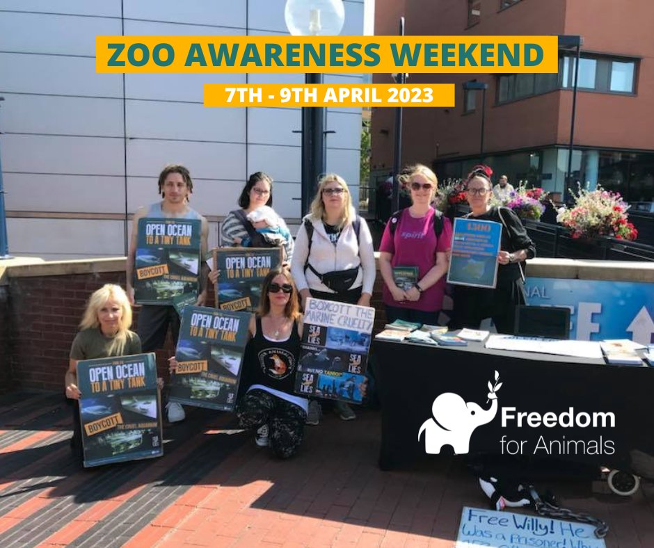 Help us stand up for animals in captivity this #ZooAwarenessWeekend and take action!

You can hold a demo outside your local zoo or aquarium to help raise awareness, and spread the truth 🐟🦁🌎

##AnimalRights #AnimalFreedom #ZAW2023  freedomforanimals.org.uk/campaign-resou…