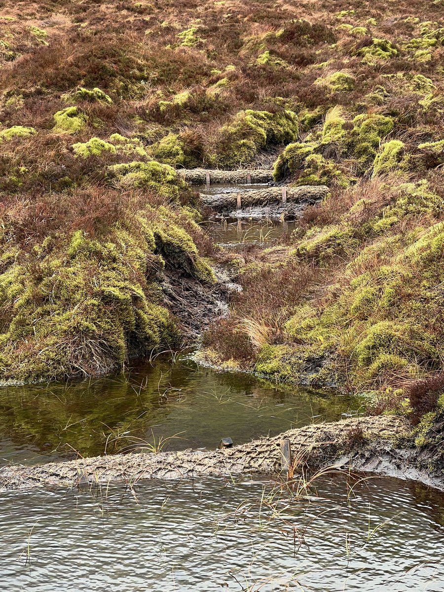 Simon Gray tweet media