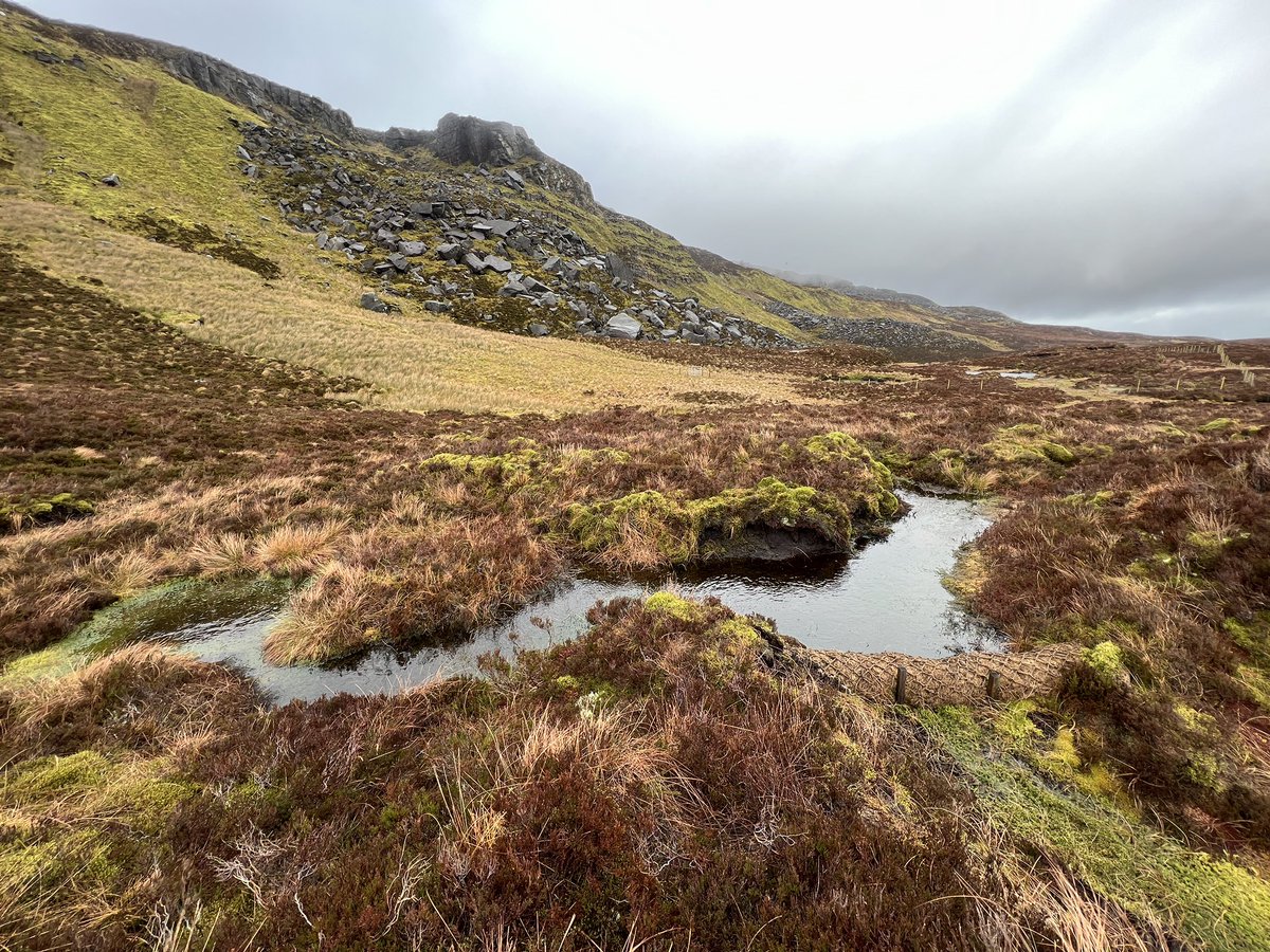 Simon Gray tweet media