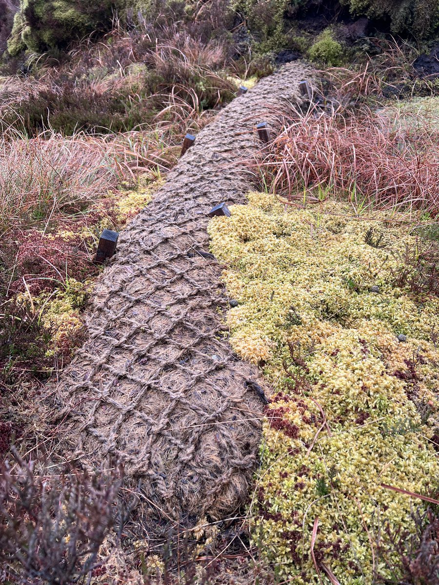 Simon Gray tweet media