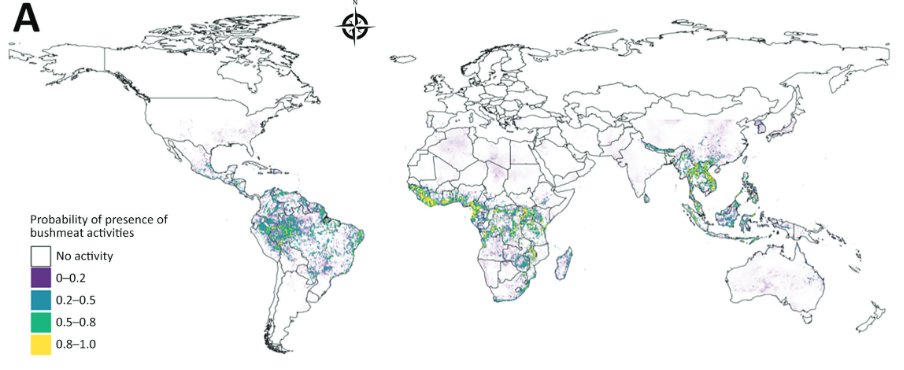 Thomas Van Boeckel tweet media