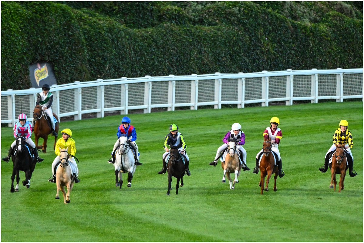 Vinnycenzo_71's tweet photo. My Little Pony Race 🐴
@TheValley  
#FutureStars 💫 https://t.co/lPj8DsI2Yt