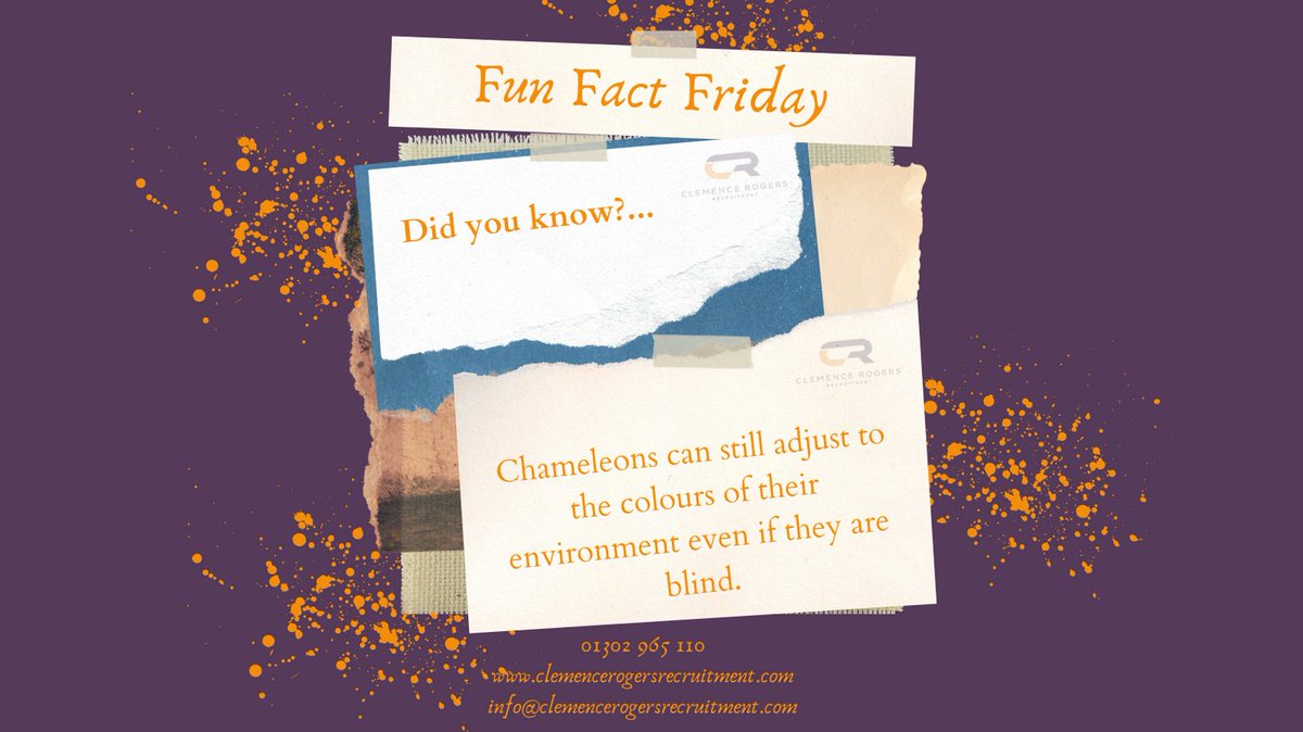 It's finally Friday!

If you're looking for a role change feel free to call us on 01302 965 110 or email info@clemencerogersrecruitment.com

Have a look at our latest vacancies on our website. lnkd.in/eiVgr4jX