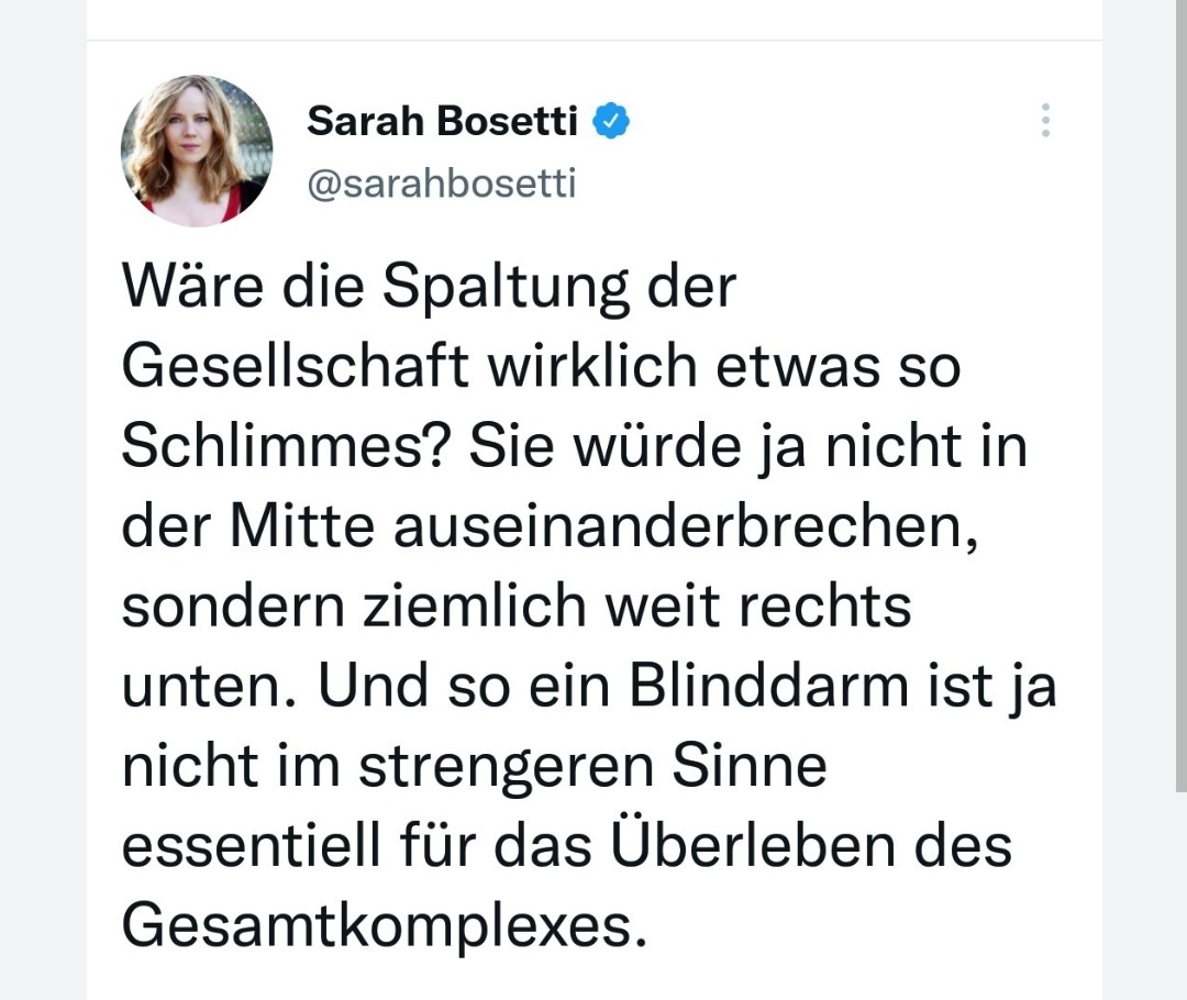 Einer_l_e_i's tweet photo. Es darf NIE vergessen werden, was die Hetzerin Bosetti von sich gegeben hat. Ein Skandal, dass diese Person noch immer beim ÖRR arbeiten darf und von Zwangsbeiträgen finanziert wird! #Aufarbeitung #Schande #Bosetti #HassundHetze https://t.co/gH22azmfL1