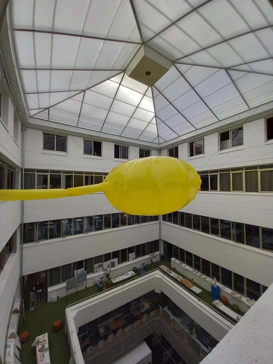 NuriaP9's tweet image. Preparando la @fetsac Creo que #pradapoole estaría orgulloso
#infatable #arquitectura #arquitecturainflable #architect #ball #arquitecturaefimera #efimera #ephemeral #lightweight #structures #specialstructure #fly  #yellow #build #construccion #etsac #coruna #fetsac #corunamola