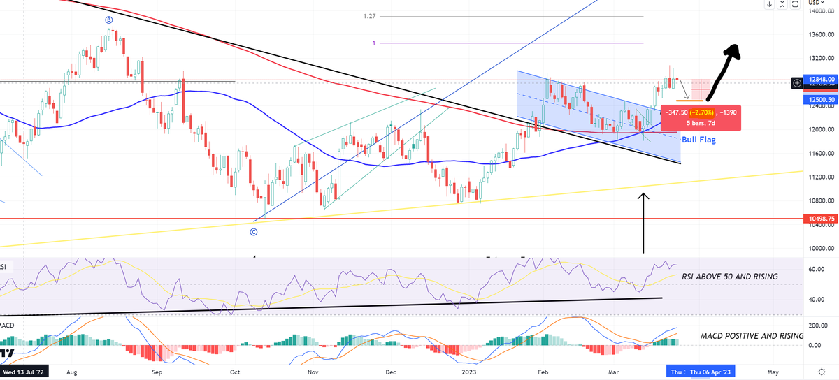 I'm giving too much! 

Strong PULL BACK coming - Today I think! 

#Nasdaq likely to decline ~3% today.

But it changes NOTHING - despite Bear's will be out again 😆

BLOW-OFF TOP is alive and well!