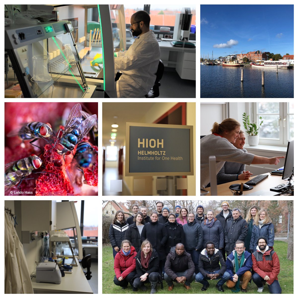 Helmholtz_HIOH's tweet photo. We are #hiring! Come join an awesome team at the @Helmholtz_HIOH in Greifswald! We have several vacant Post Doc positions, TA positions and are looking for a Bioinformatician. Be part of the groundbreaking research at the HIOH #joboffer https://t.co/Zyj3bEHAeY https://t.co/USLlMiag9C