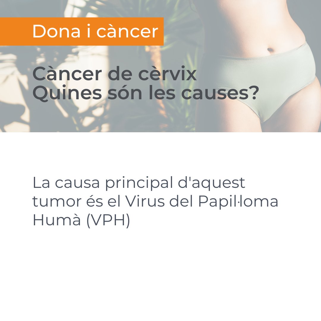 El #càncer de coll d'úter o #cèrvix afecta cada any 277 dones a Catalunya. ​
És un tumor causat pel Virus del Papil·loma Humà #VPH, un virus de transmissió sexual per al qual hi ha vacuna disponible.​
Aquest diumenge #26març se celebra el #DiaMundialCàncerCèrvix ​
<a href="/salutcat/">Salut</a>