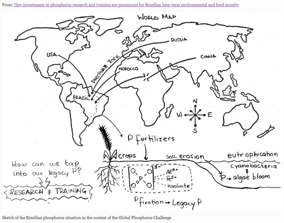 What is the state of  #phosphorusrecovery in #Brasil and what can be done to improve it in the context of the #GlobalPhosphorusChallenge?
Read more in the <a href="/H2020Recap/">H2020_RecaP</a> paper 👉 lnkd.in/eJ5vv9iM
<a href="/HenriqueRaniro/">Henrique Raniro</a> <a href="/lucas_uj/">lucas_uj</a> <a href="/JessicaPapera/">Jessica Papera</a> <a href="/rmvalenca/">Rodrigo Maia Valença</a> <a href="/usponline/">USP - Universidade de São Paulo</a> <a href="/LudwigHermann/">@ludwighermann</a>