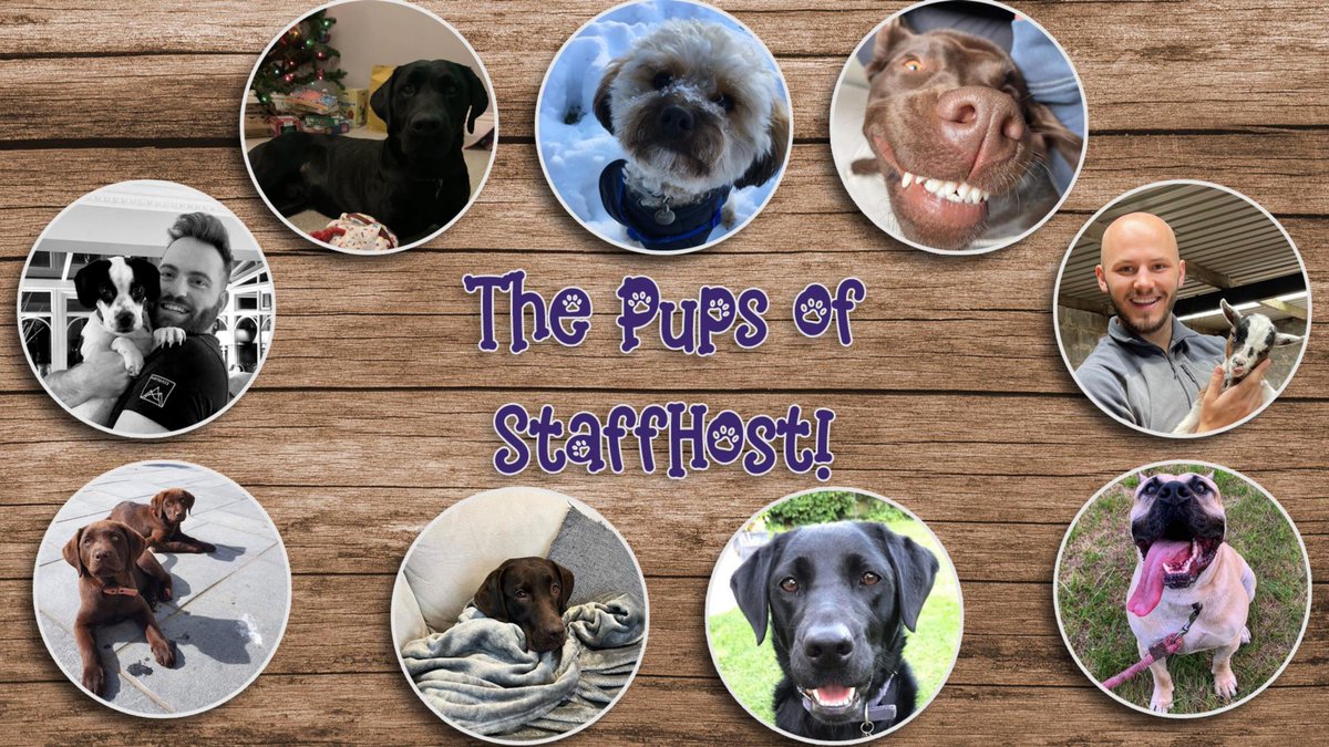 StaffHost tweet picture