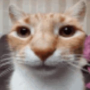 Forsen Updates tweet media