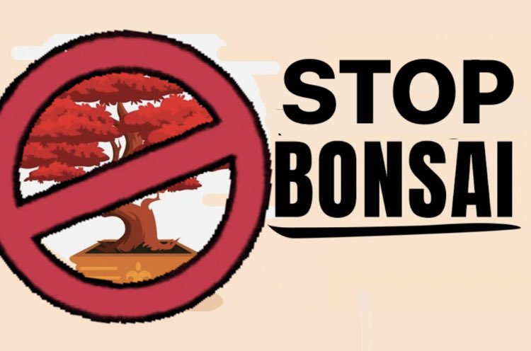 PACMV_'s tweet photo. Basta ya de torturar arboles podándolos sin consentimiento y torturando con alambres. #stopbonsai #noalmaltratovegetal https://t.co/sweO29rq8U