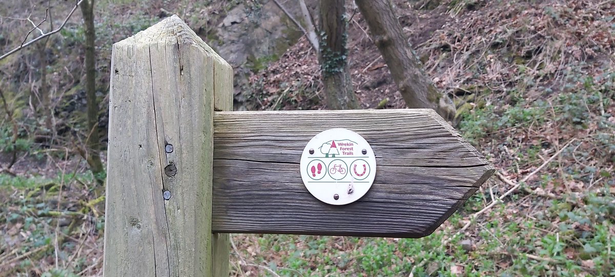IainTheGooner's tweet photo. #FingerpostFriday A few from #Ercall Wood and Lawley #Shropshire #photography https://t.co/90Jybi8qeU