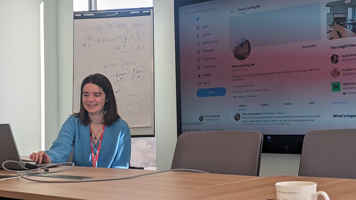 AlicePollard91's tweet photo. @cellularstress our very own social media manager/PhD student Jane introducing the new Carling lab twitter account at her lab meeting. It's long overdue. A new era?  #AMPK #Carlinglab #metabolism https://t.co/WzBZ0BfHgw