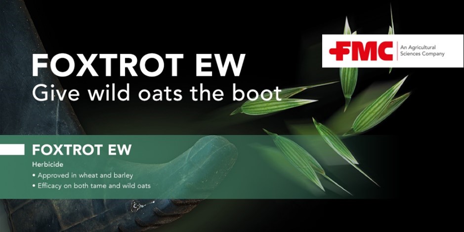 FMCAgroUK's tweet photo. Do you want to find out more about Foxtrot for wild oat control?

Have a read of our blog post ➡️ https://t.co/3GNtMxoiPX https://t.co/zgDW9hAvkZ