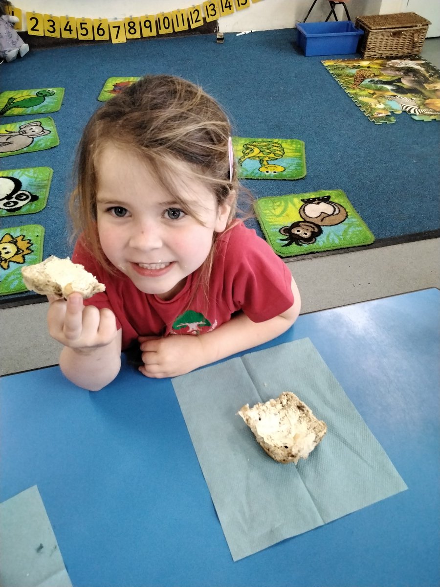 bcevcprabbits's tweet photo. We have been learning about the build up to Easter and the Easter story. We have been reflecting at our special reflection table and tasting hot cross buns!  @BarninghamCEVCP #suffolk #EYFS #RE #primary #cevc https://t.co/1Oe8nwNVz8