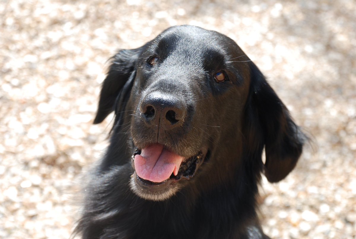 Jake The Show tweet media