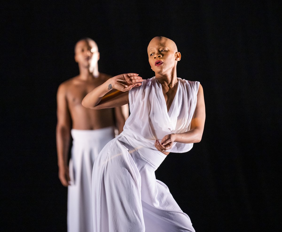 Dance Consortium tweet media