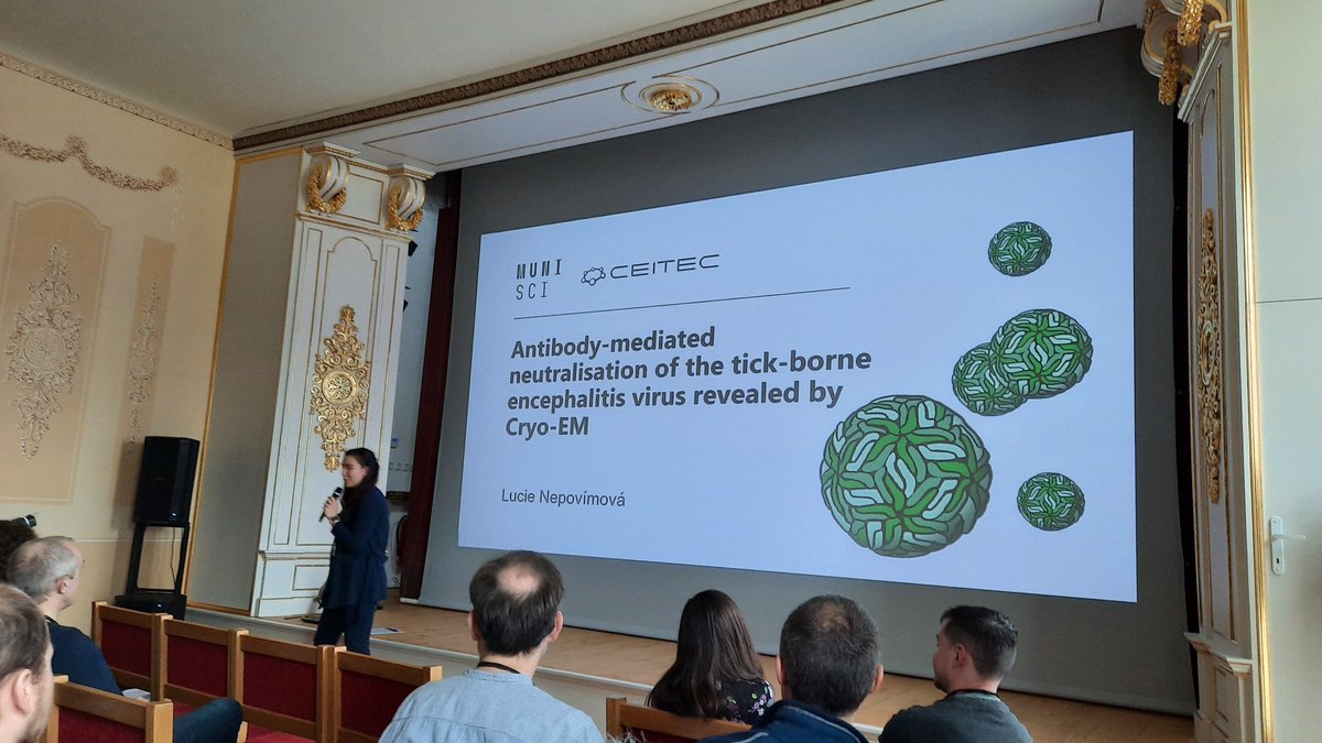 structbio_cssb's tweet photo. Lucie Nepovimova on #tick born encephalitis virus watched by her supervisor @PlevkaLab #XIXDiscussions https://t.co/OuOcpwYPCL