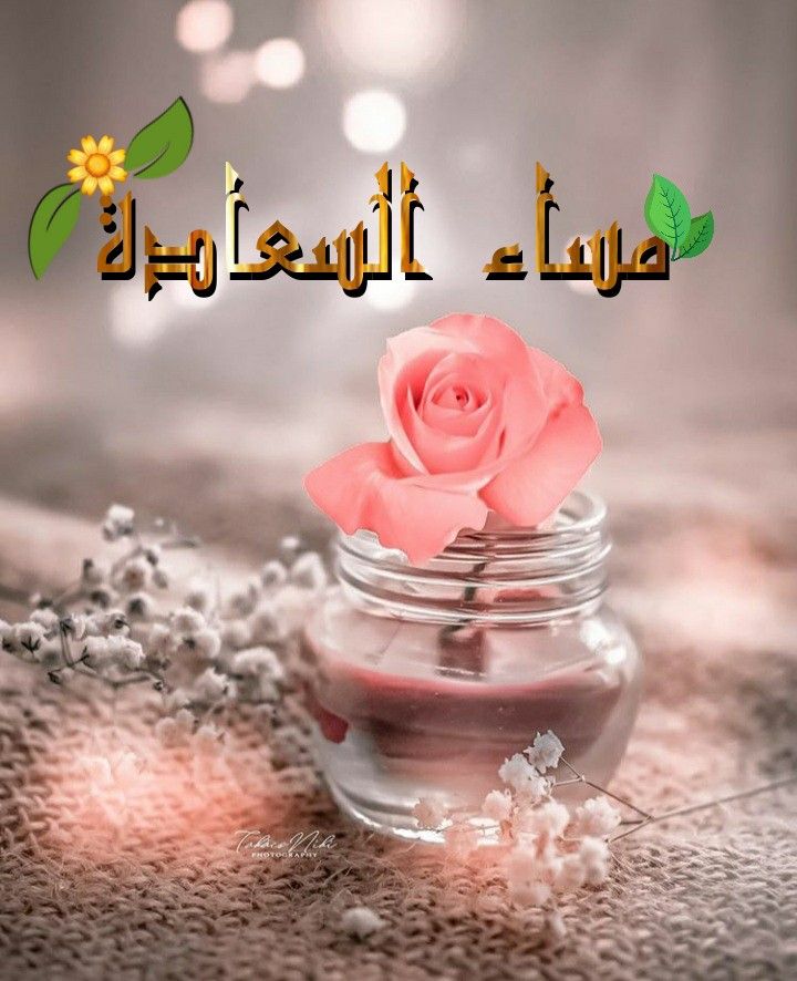 💙جود💙 tweet media
