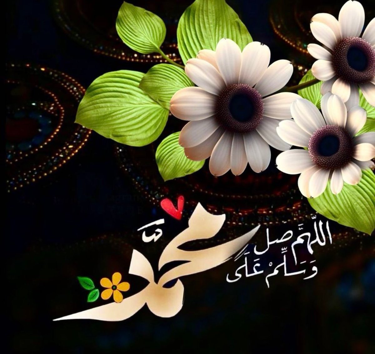 💙جود💙 tweet media