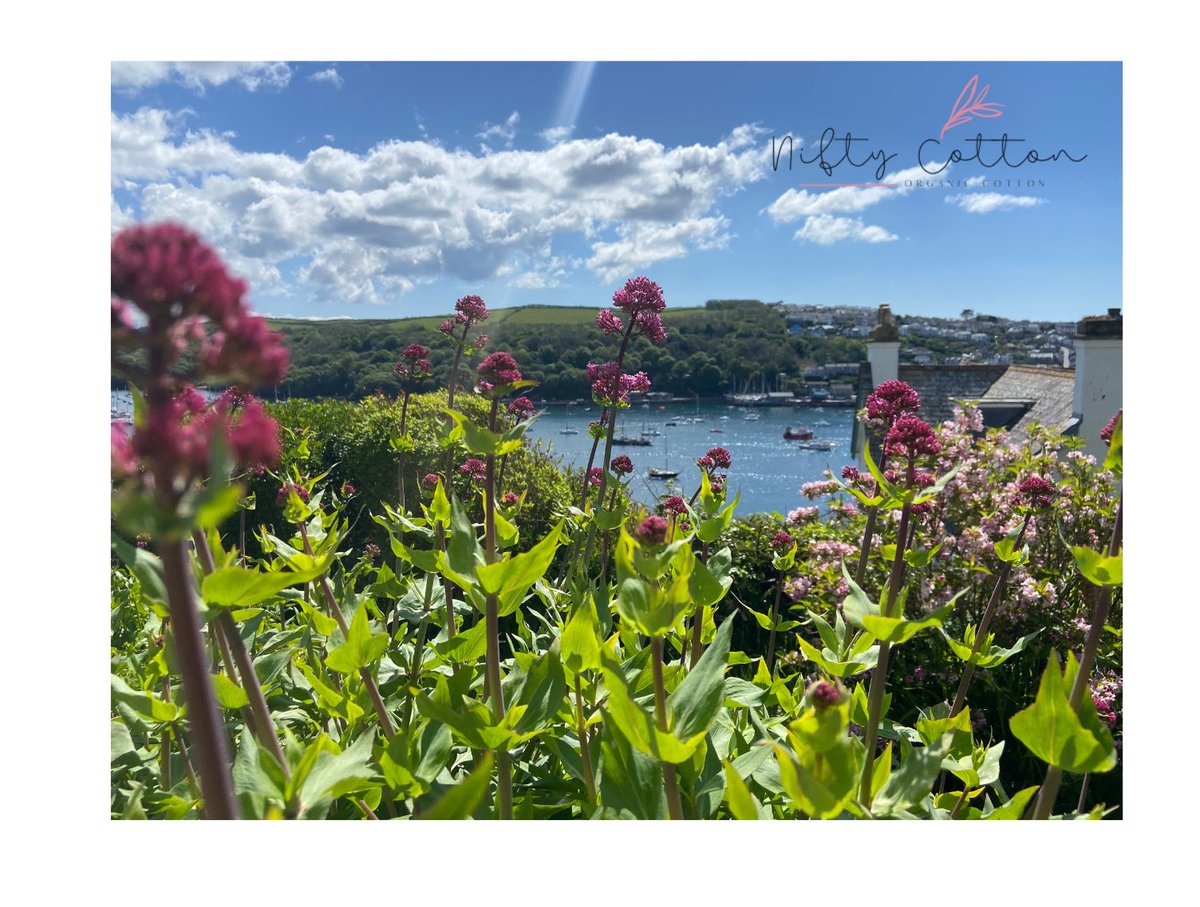 Niftycotton's tweet photo. Nature’s View 

Now available as a mousemat and postcards 😍 original photography of Fowey River 

#foweyriver #fowey #cornwall #photography #smallbusinessowner #SmallBiz #artist https://t.co/U60u21bLBm
