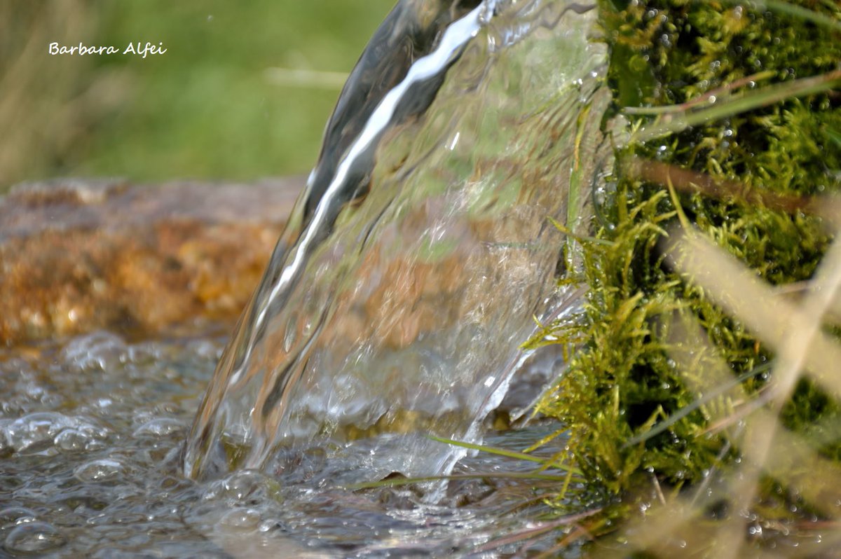 MarcheRurale's tweet photo. "Acqua, fonte di vita...un tesoro nei Monti Sibillini"

Le immagini della rubrica “Lo #SviluppoRuraleMarche in uno scatto” a cura di @BarbaraAlfei AMAP Marche! https://t.co/R4p6NlfTyK