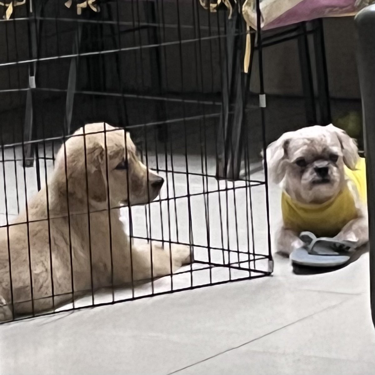 burnookie's tweet photo. #BFFs https://t.co/u5ozEoAE9j